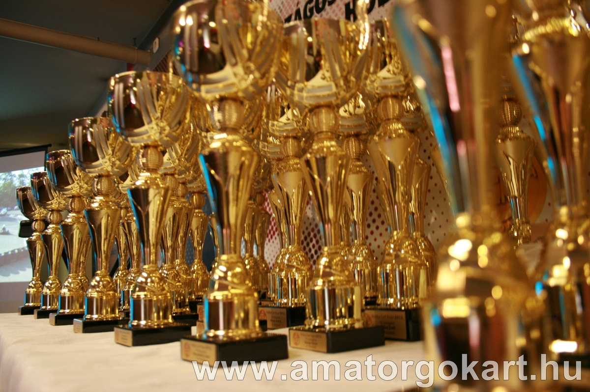A 2014-es év díjkiosztó ünnepsége – 2015.01.09 péntek